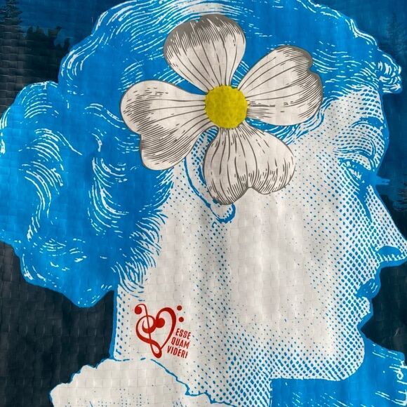 NWT New Trader Joe’s North Carolina NC Tote Bag Reusable Shopper Tarheels BBQ - Picture 4 of 10